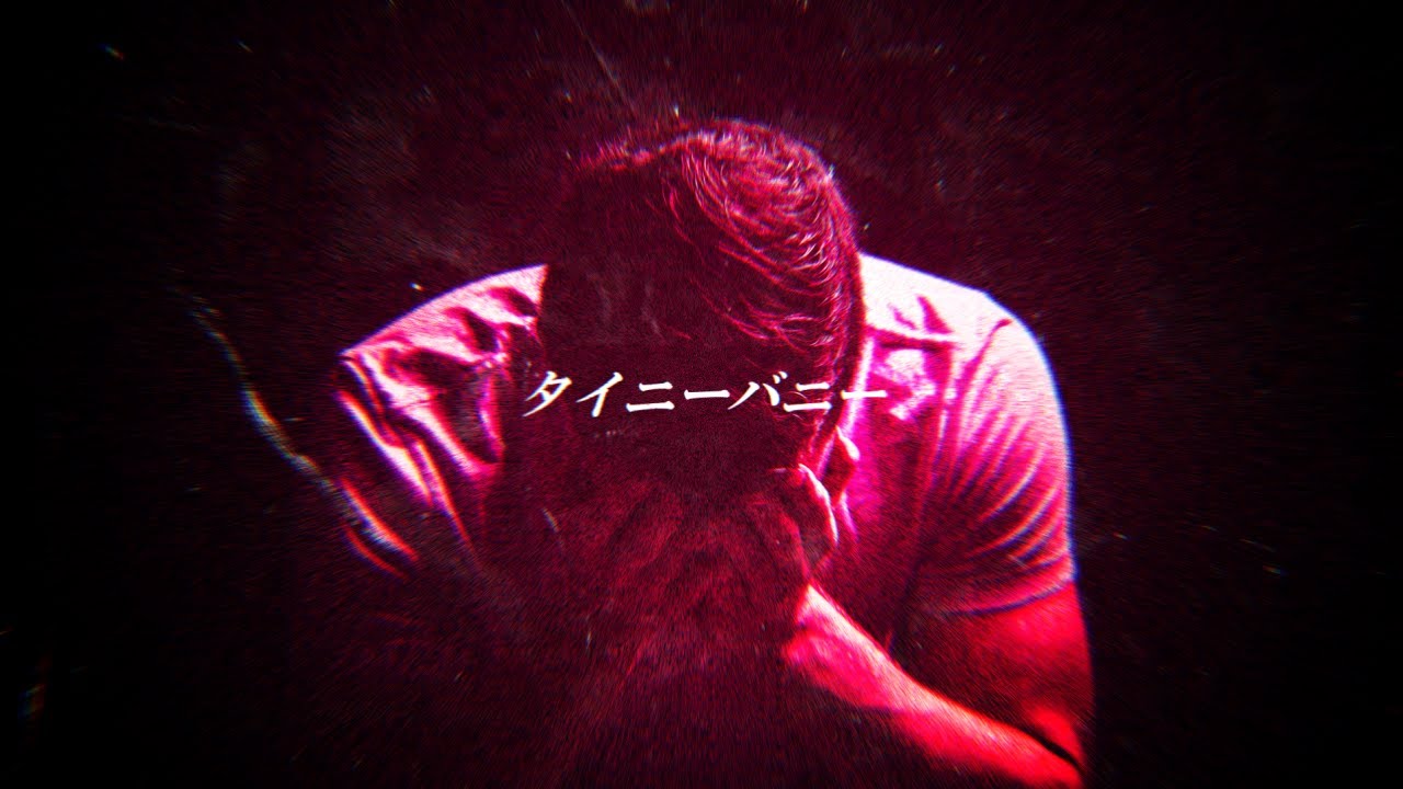タイニーバニー - リャマ | PVSF archive