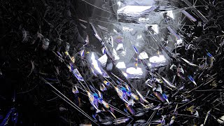 lethobenthos - Transendium | PVSF archive