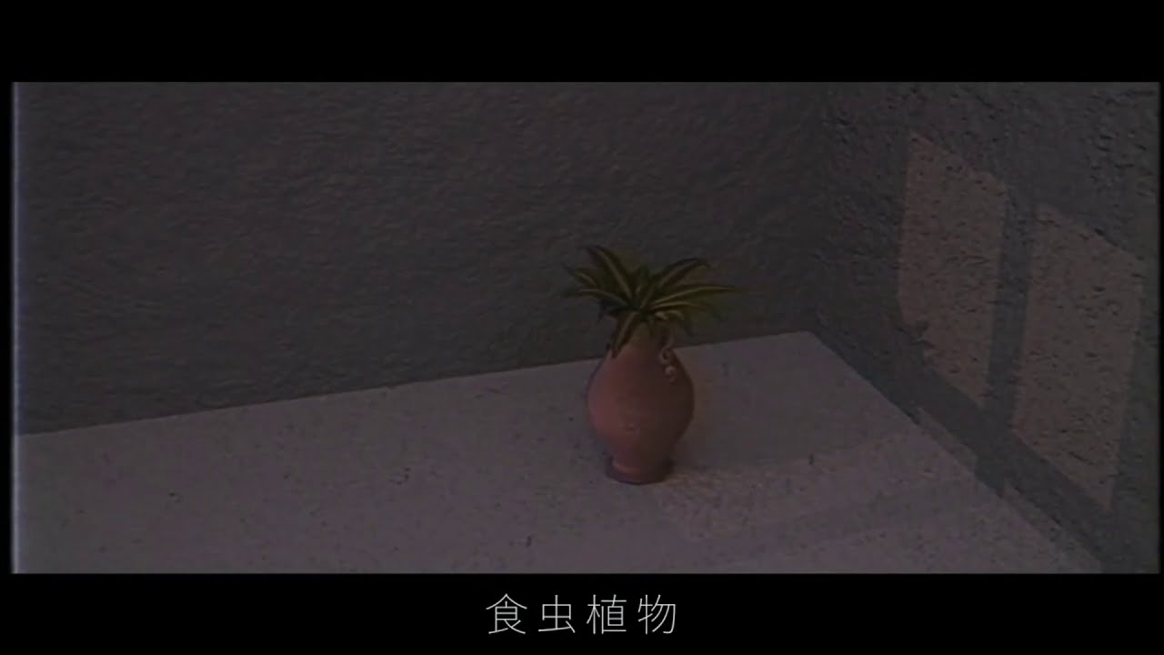 食虫植物/理芽 - RT | PVSF archive