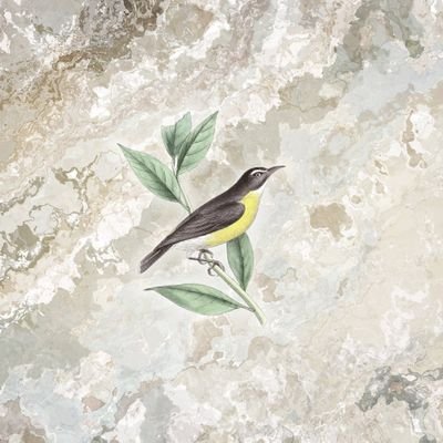 派戸のアイコン